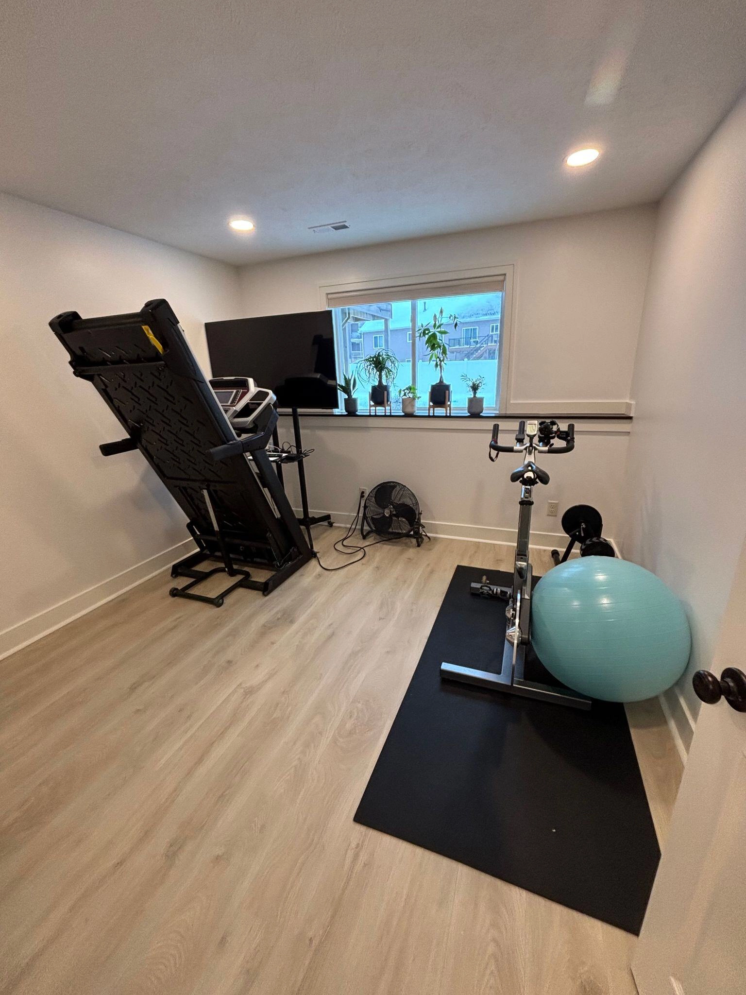 Basement workout room