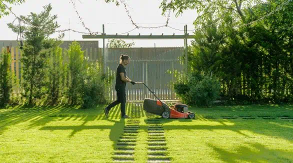 Lawn Care & Maintenance