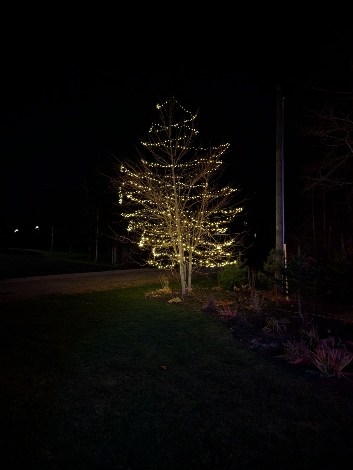 Permanent outdoor lighting system installed along the roofline of a home with smart app control