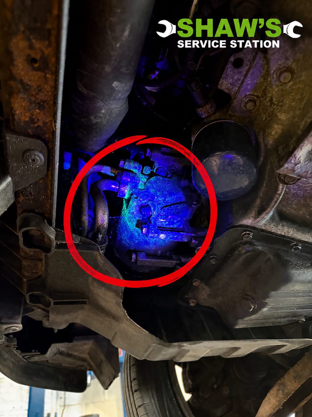 AC compressor inspection using UV dye leak detection on a vehicle at Shaw's Service Station Rhyl