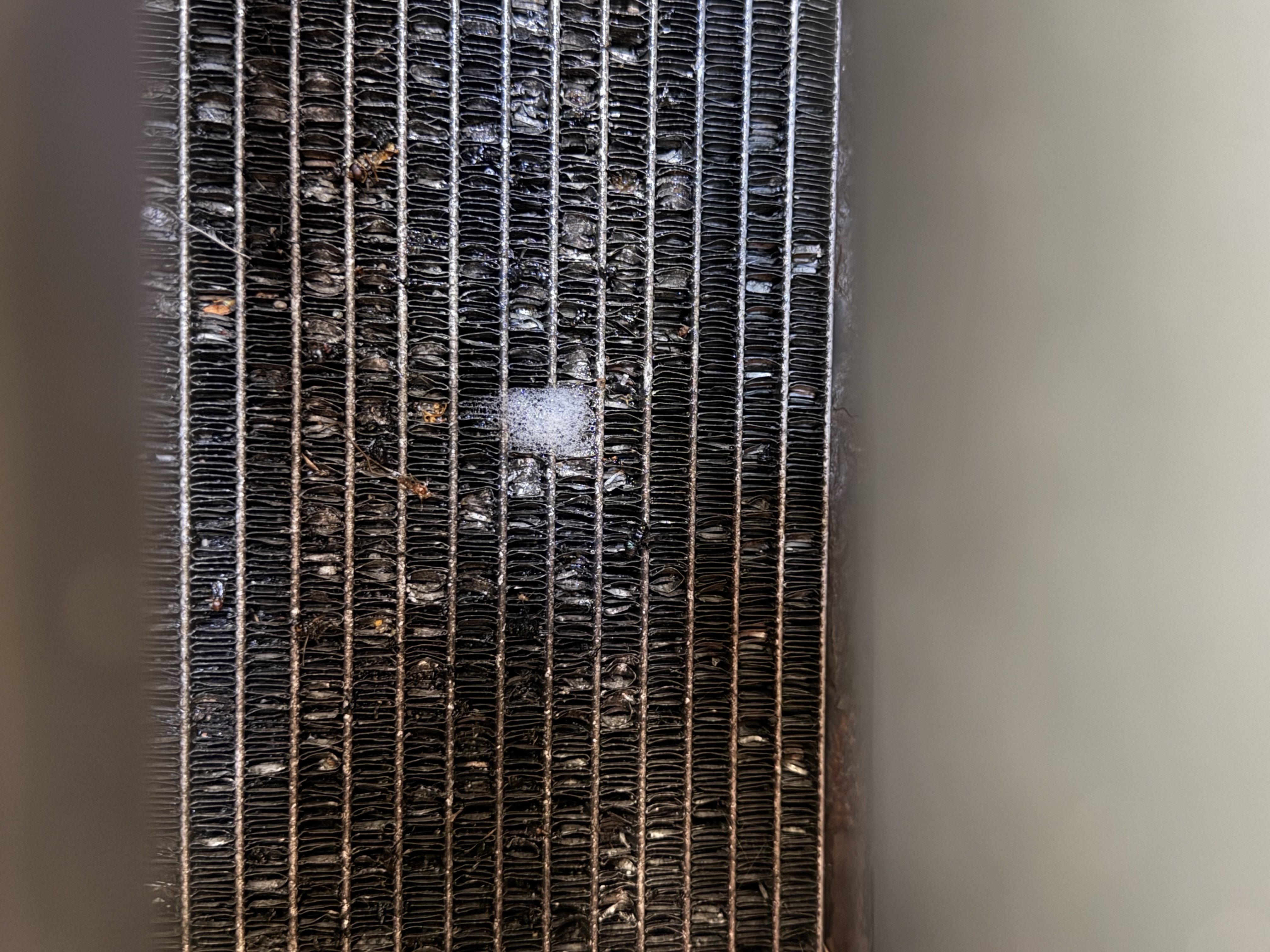 Dirty car air conditioning evaporator with debris and cleaning foam applied at Shaw's Service Station