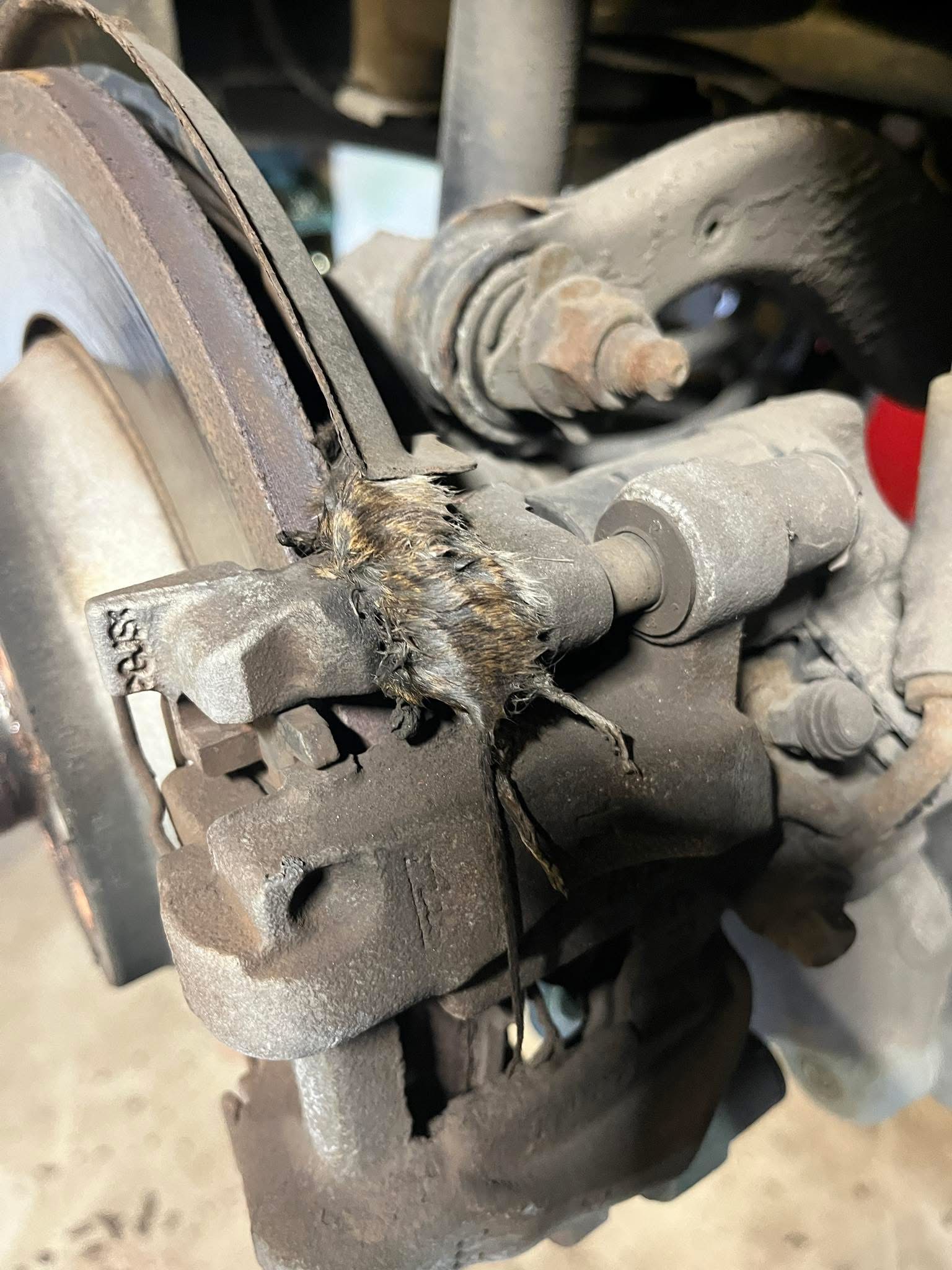 Brake disc with visible wear lip, scoring and a nearly worn-through brake pad at Shaw's Service Station