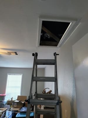 {{ custom_values.service_3 }} in {{custom_values.area_3})