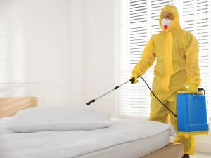 {{ custom_values.service_3 }} in {{custom_values.area_1})