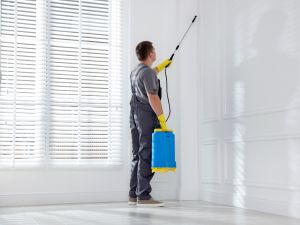 {{ custom_values.service_1 }} in {{custom_values.area_3})