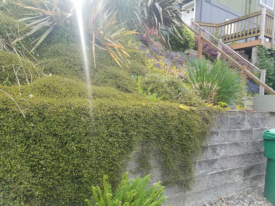 Before and after project image 18