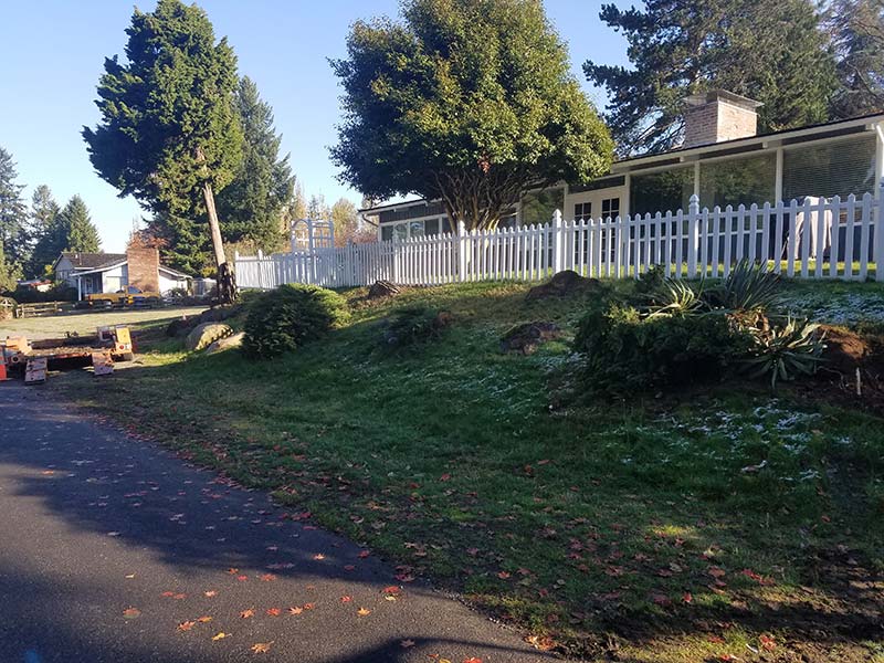 Before and after project image 3