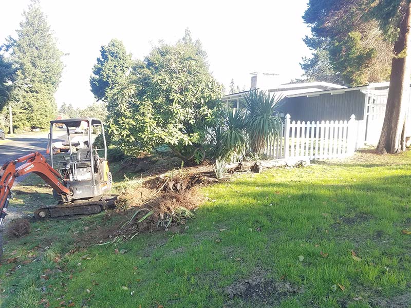 Before and after project image 1