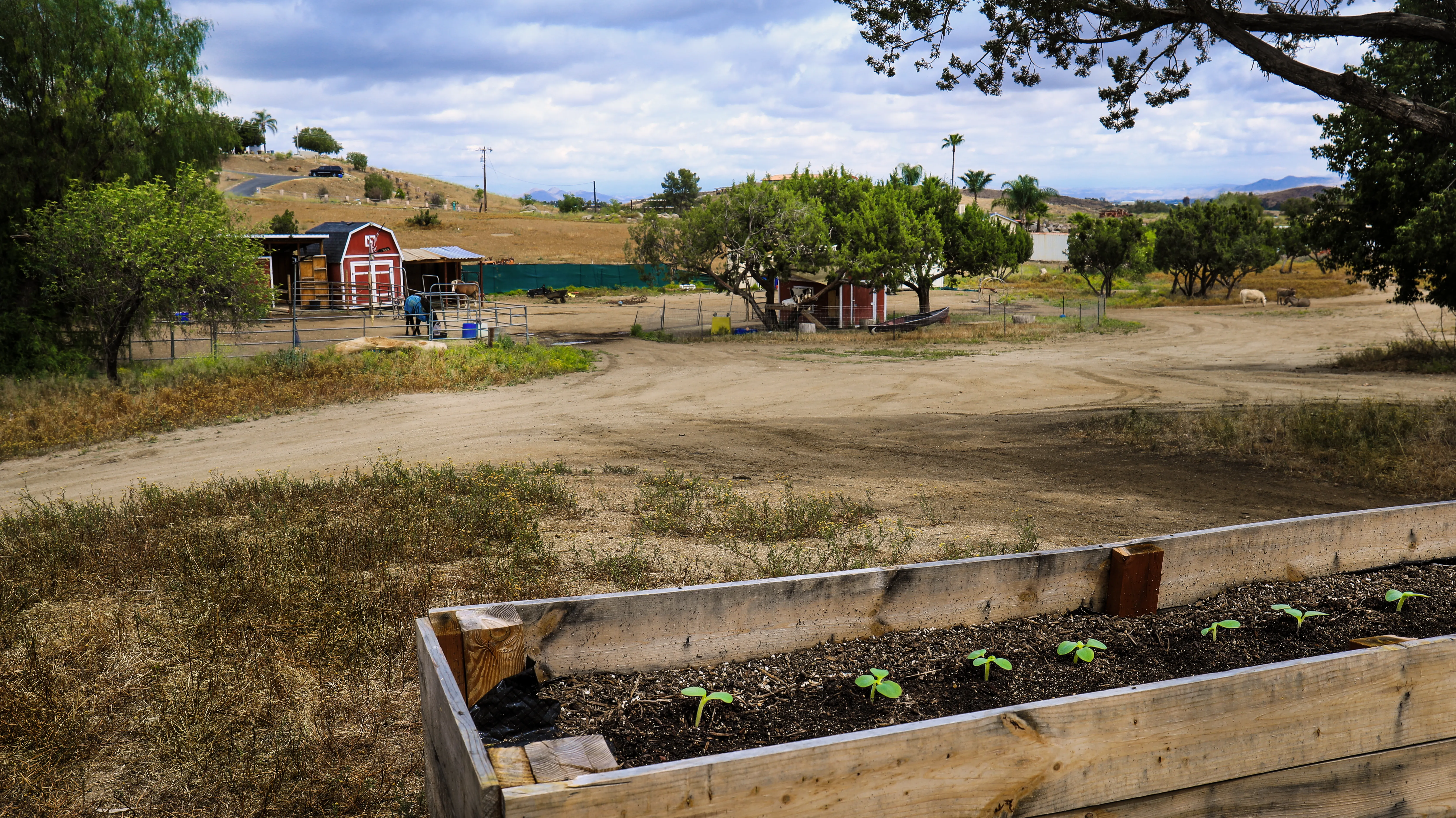 Nutrition-Forward Care at The Hope Ranch