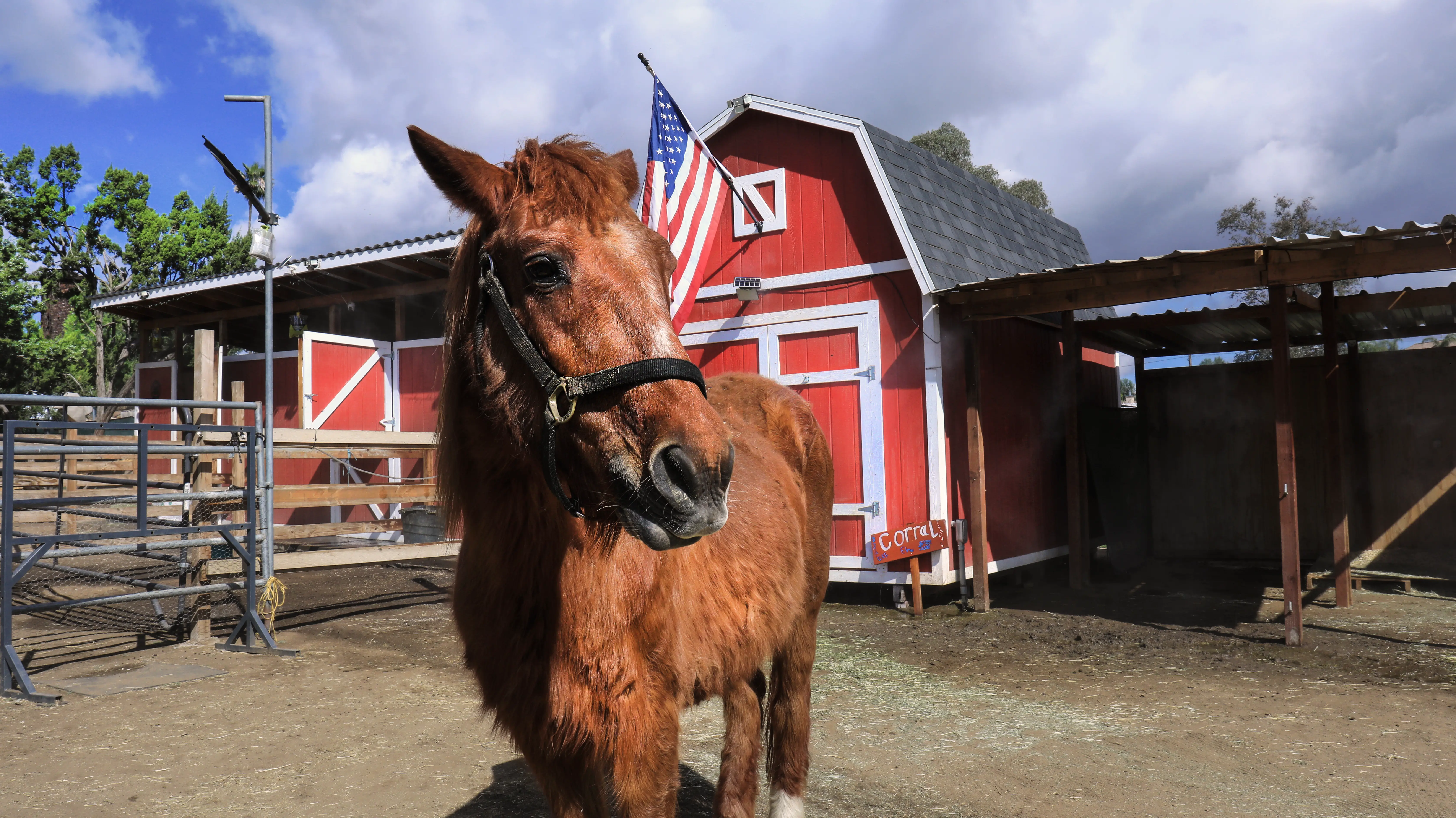 Veterans addiction recovery program at The Hope Ranch