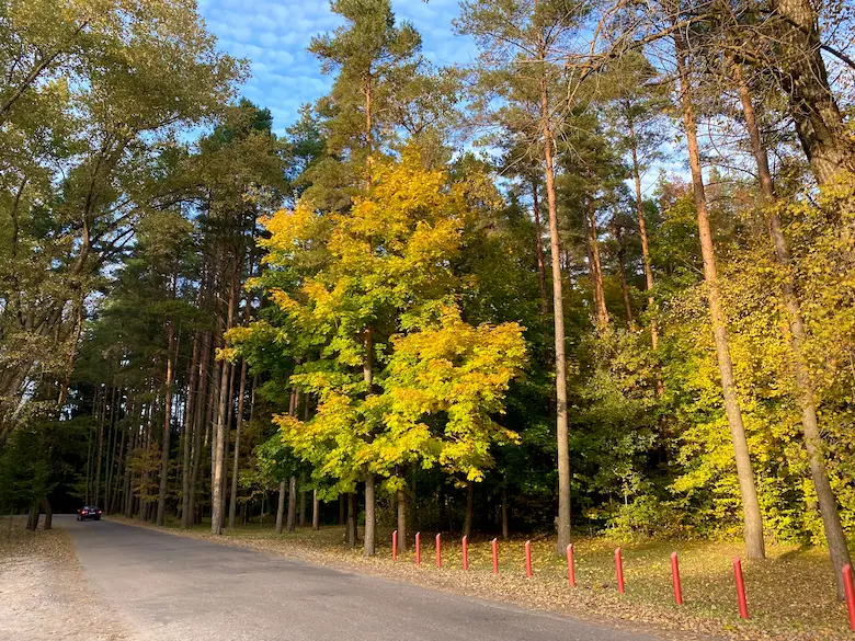 Scenic fall color near Mountain View, Arkansas