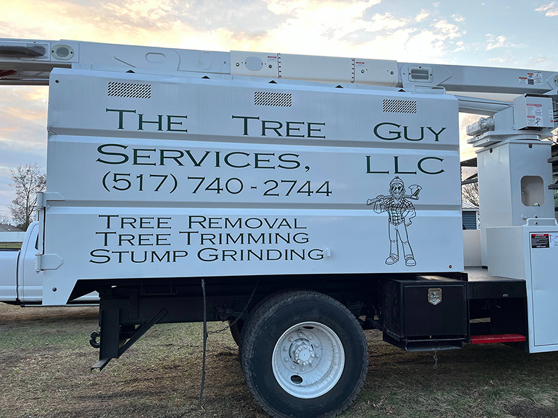 tree service jackson michigan