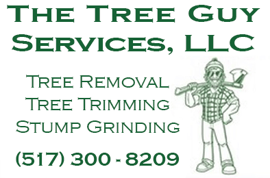 tree service jackson michigan
