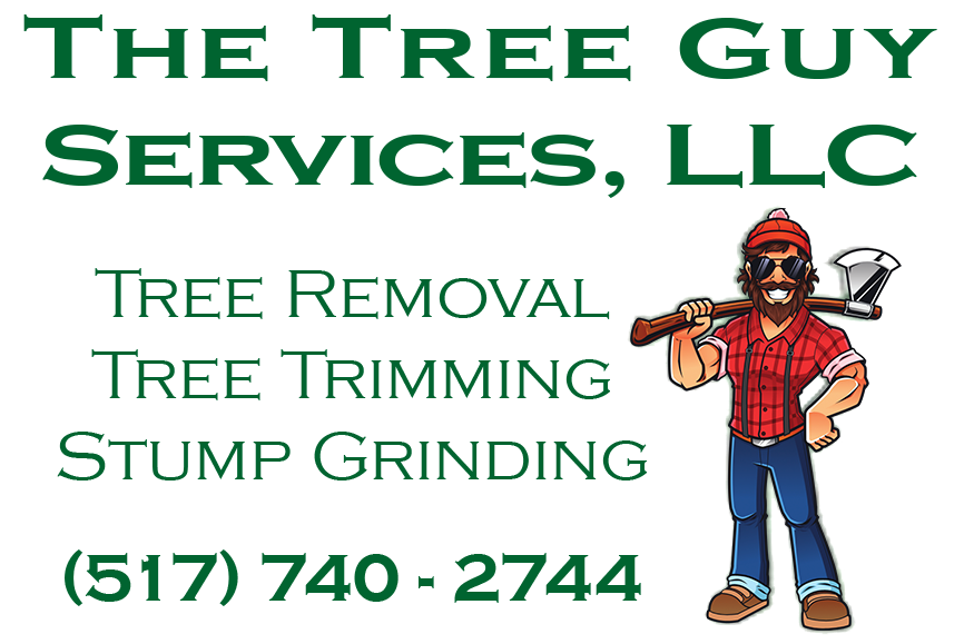 Tree Services in Ann Arbor MI Call now
