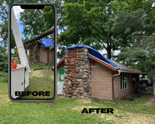 Tree Service Jackson Michigan