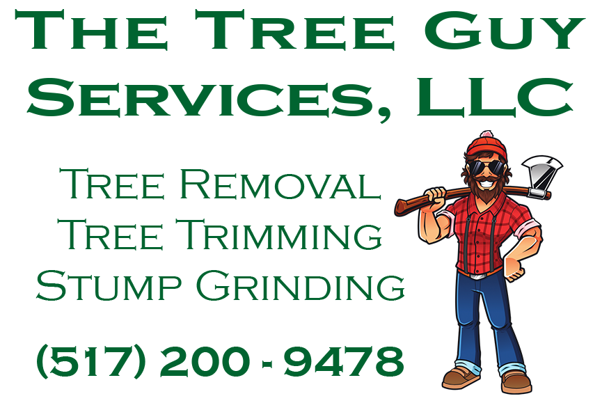 Tree Service Jackson Michigan