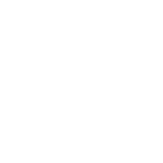 Tree Service Jackson Michigan