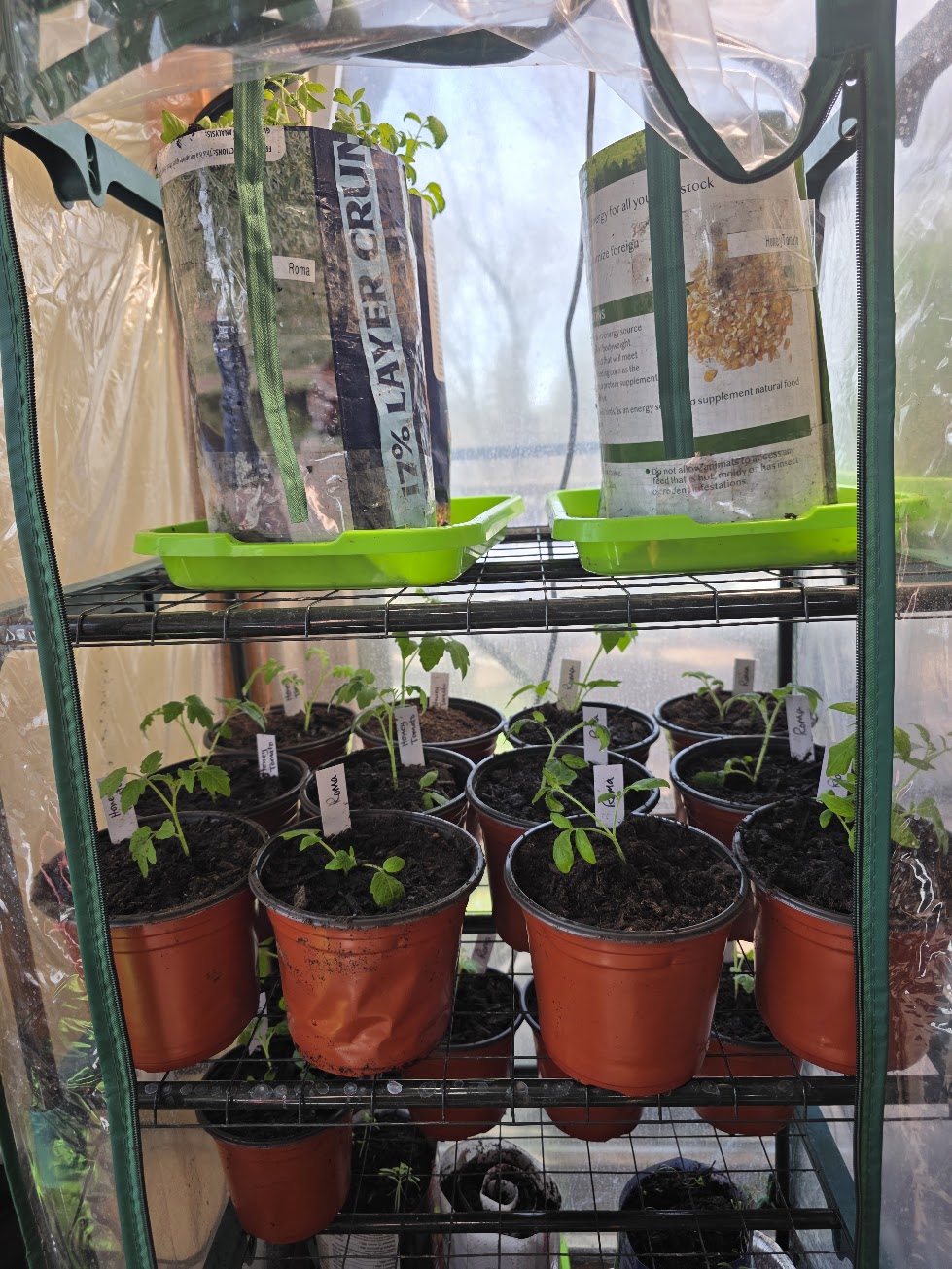 Pots Pots