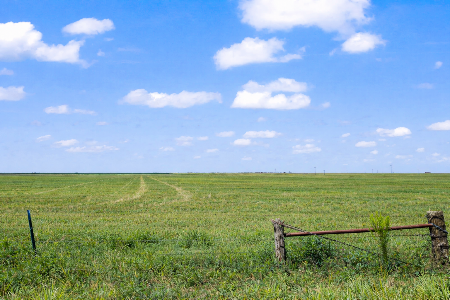 Grass pasture with a fence gate on open West Texas land