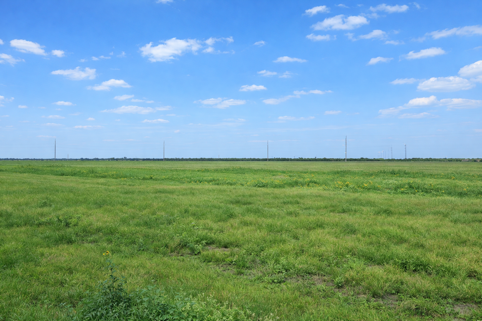 Rancho La Vista land for sale in La Feria, TX