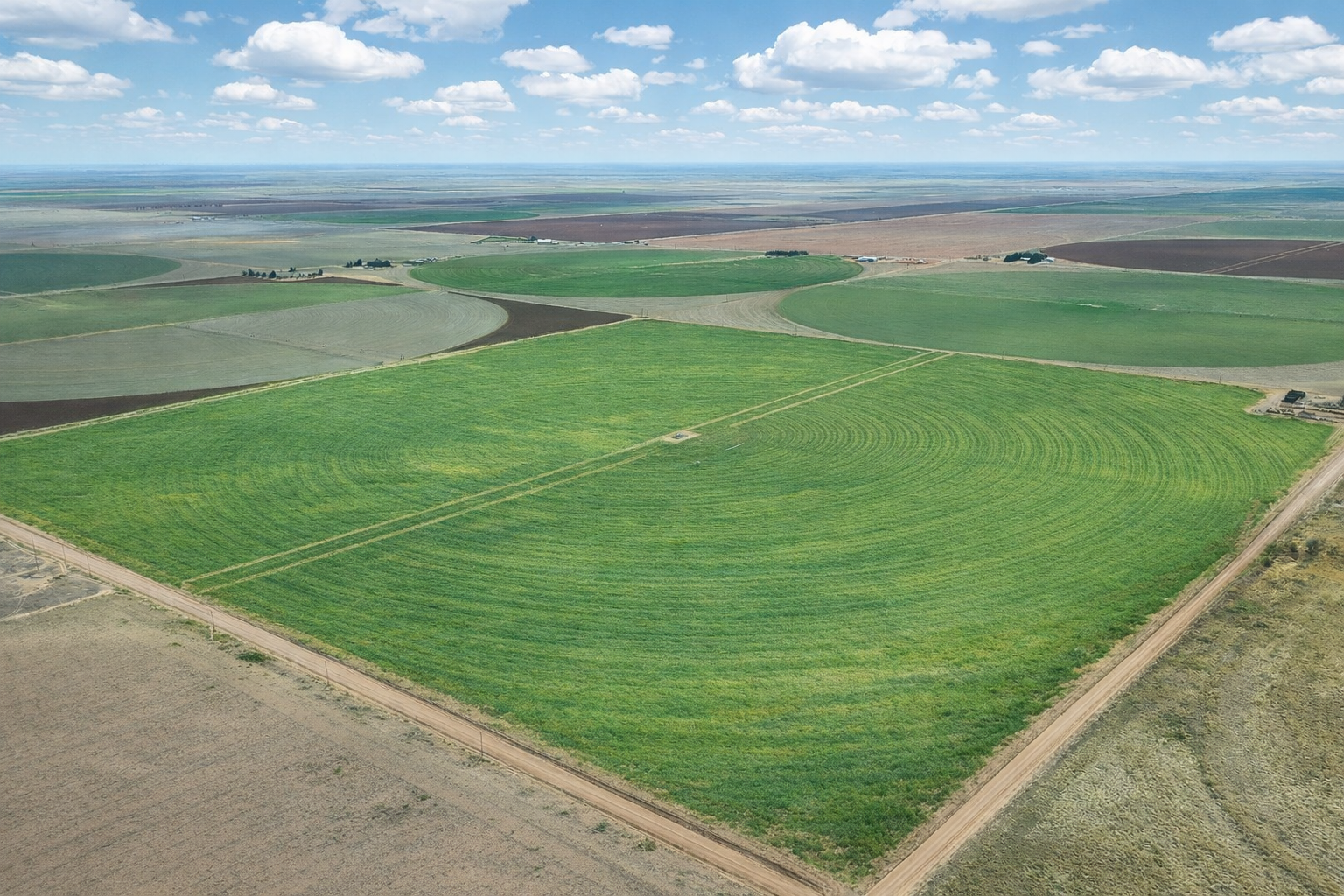 Aerial view of open farmland at Yolanda Farms near New Home, Texas