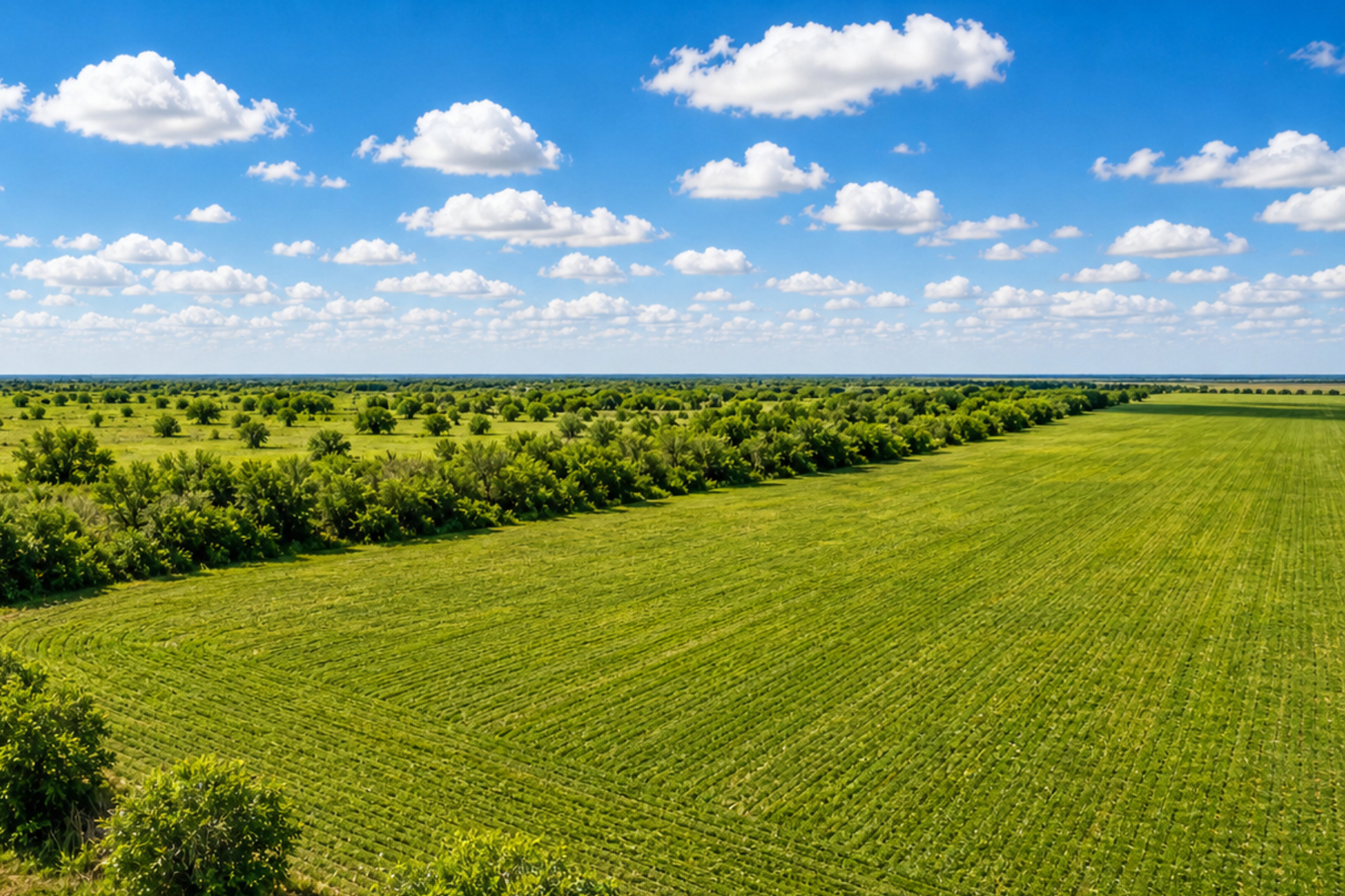 Green pasture with a tree line on 10-acre land at Victory Ranch near Orange Grove, Texas