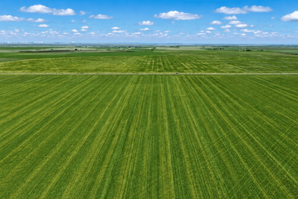 Aerial view of green farmland stretching to the horizon at Amarillo East near Amarillo, Texas