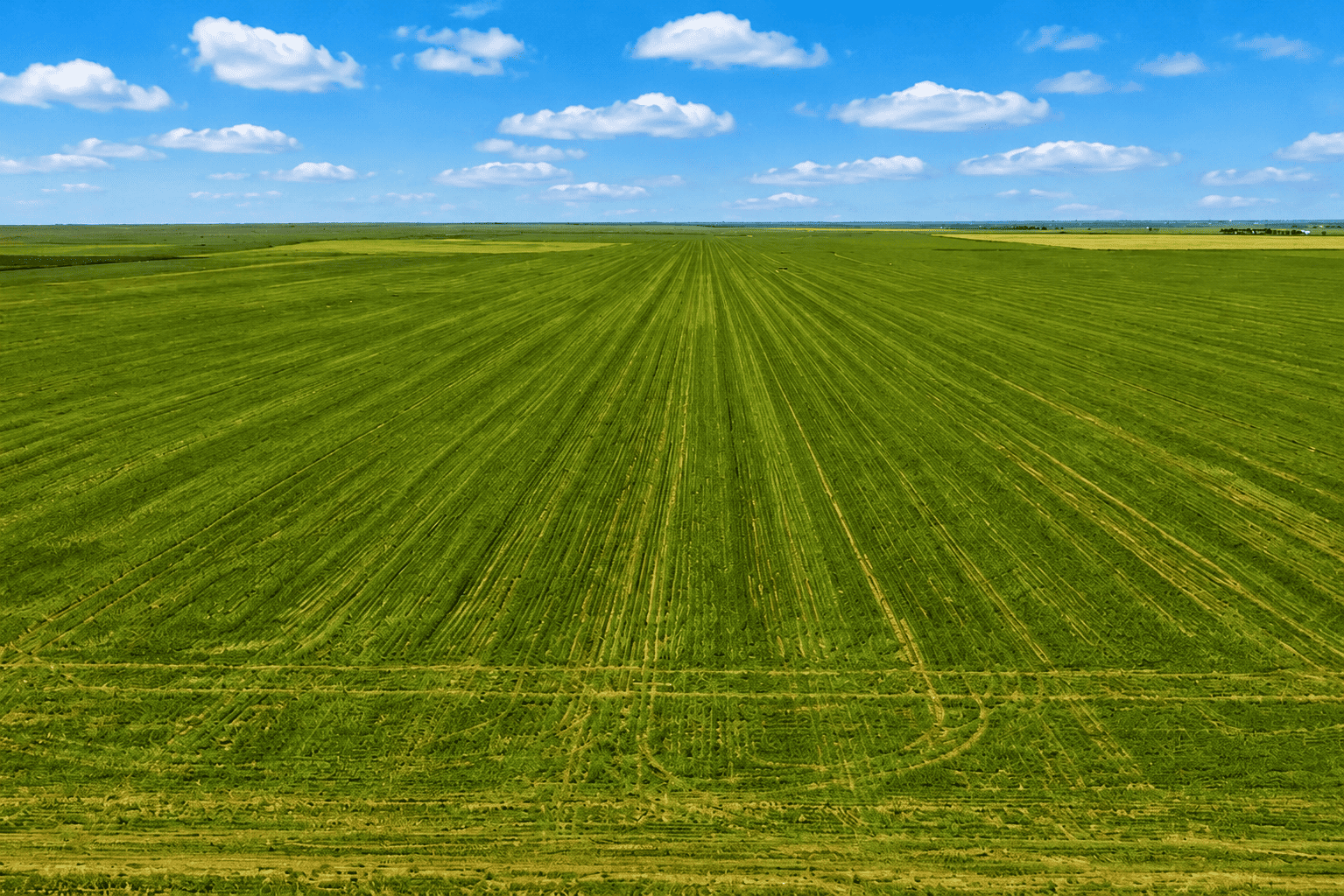 Amarillo East land for sale in Amarillo, TX