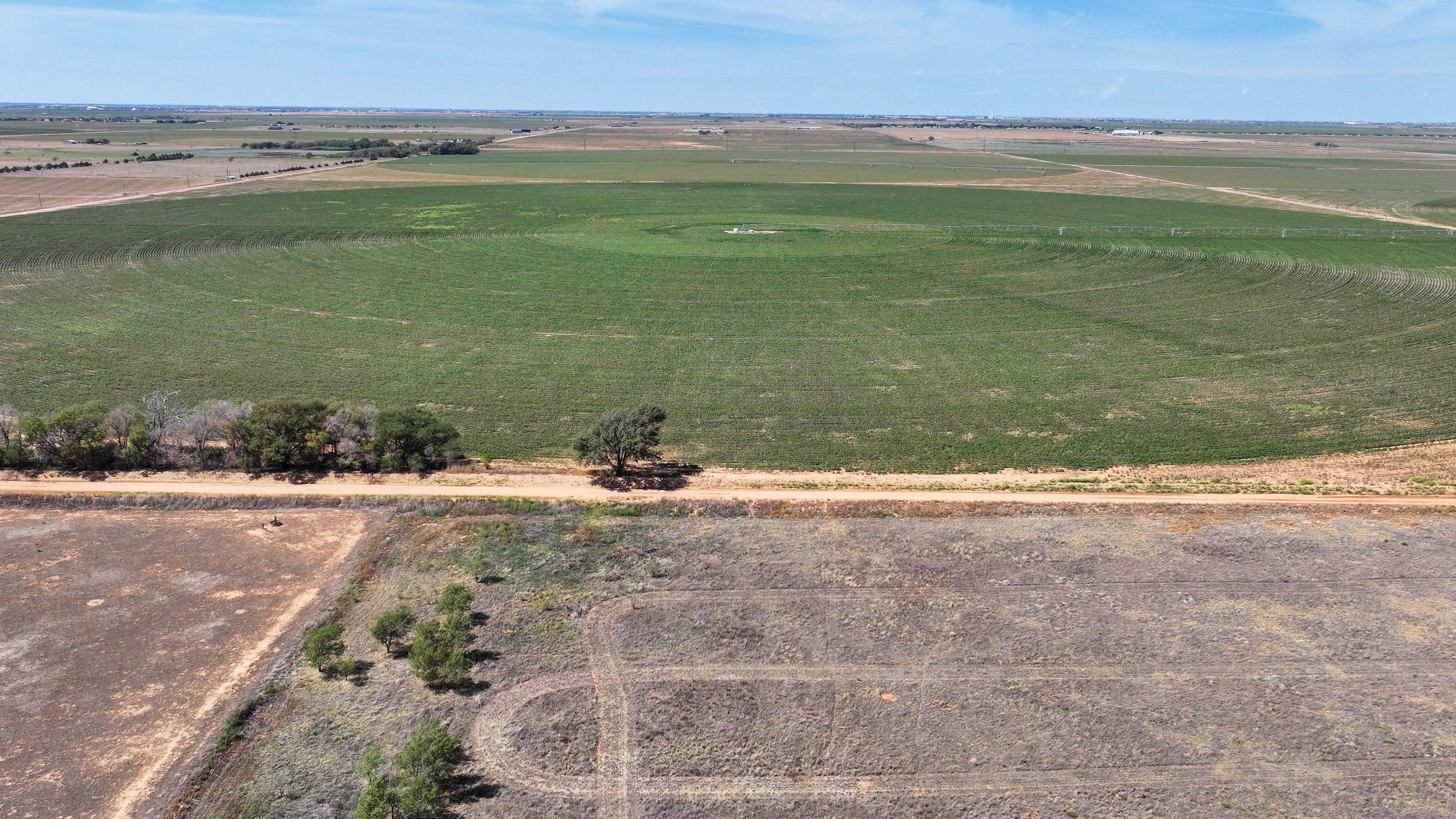 Natalia Plains land for sale in Idalou, TX