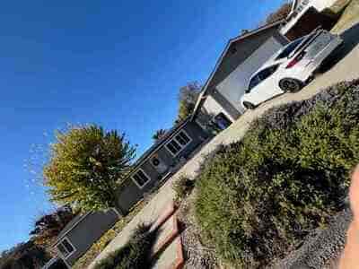 {{ custom_values.service_3 }} in {{custom_values.area_3})