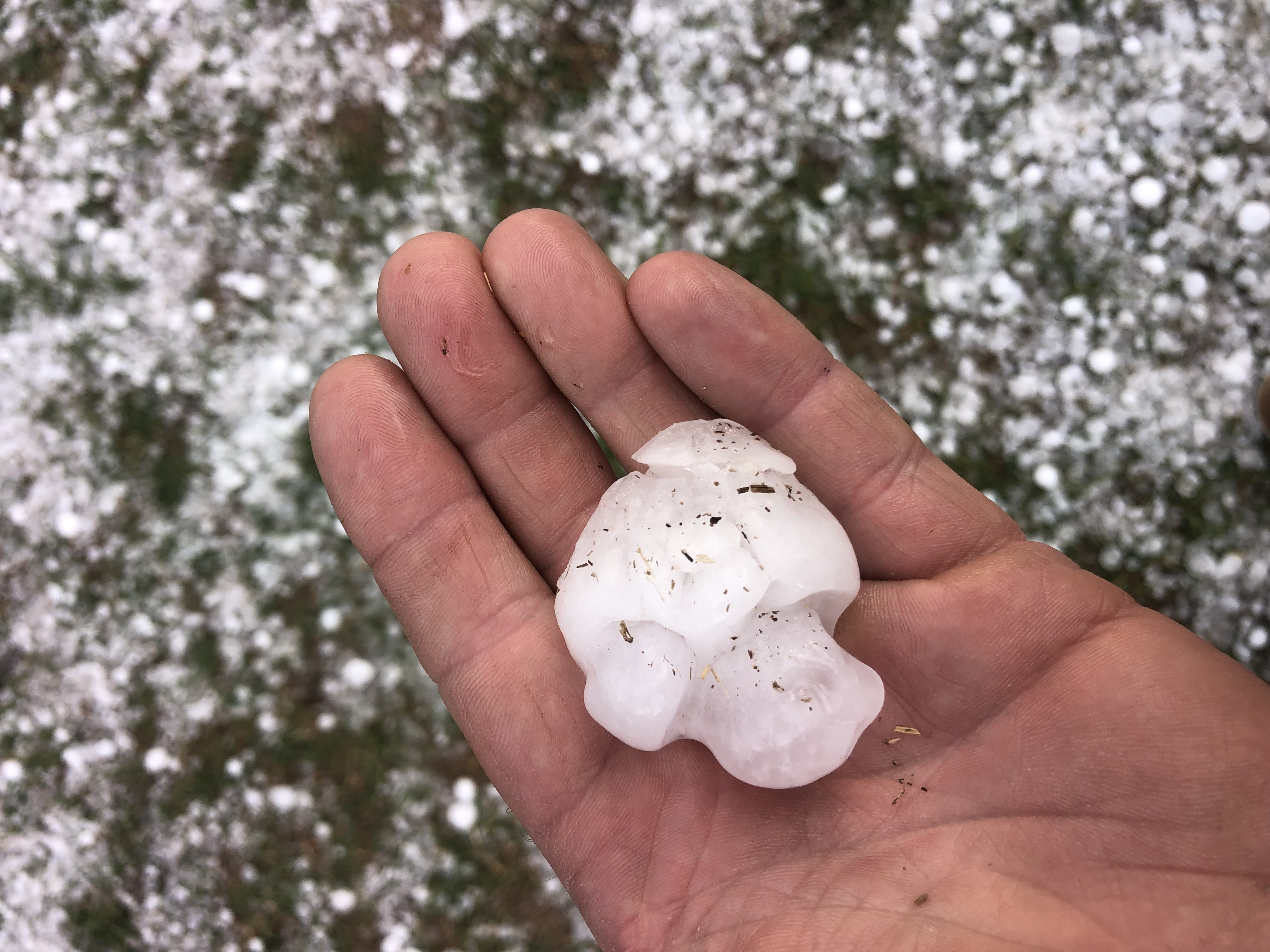 Ping Pong Size Hail Ping Pong Size Hail