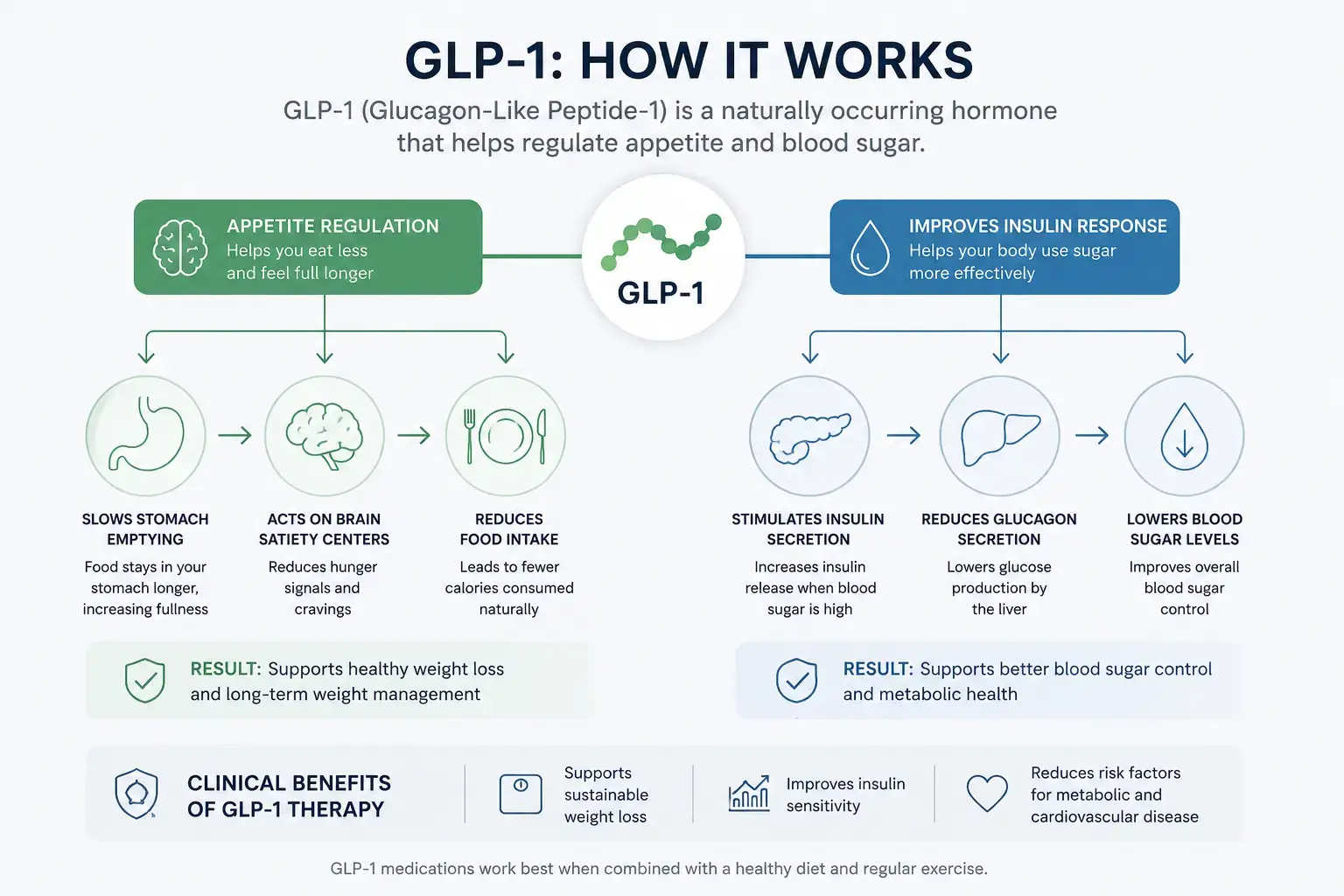 Diagram illustrating the GLP-1 mechanism showing appetite regulation, insulin response, and gastric emptying, representing how GLP-1 therapy supports medically supervised weight loss at Harper MD