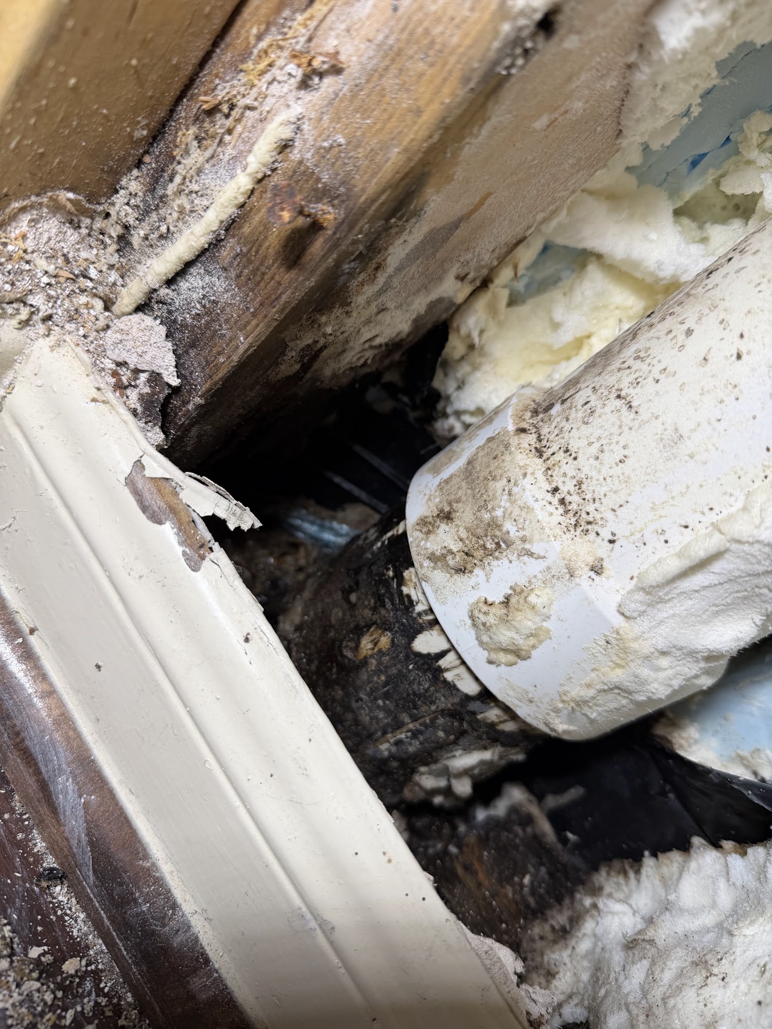 Water damage traced back to a failed pipe under a Houston home