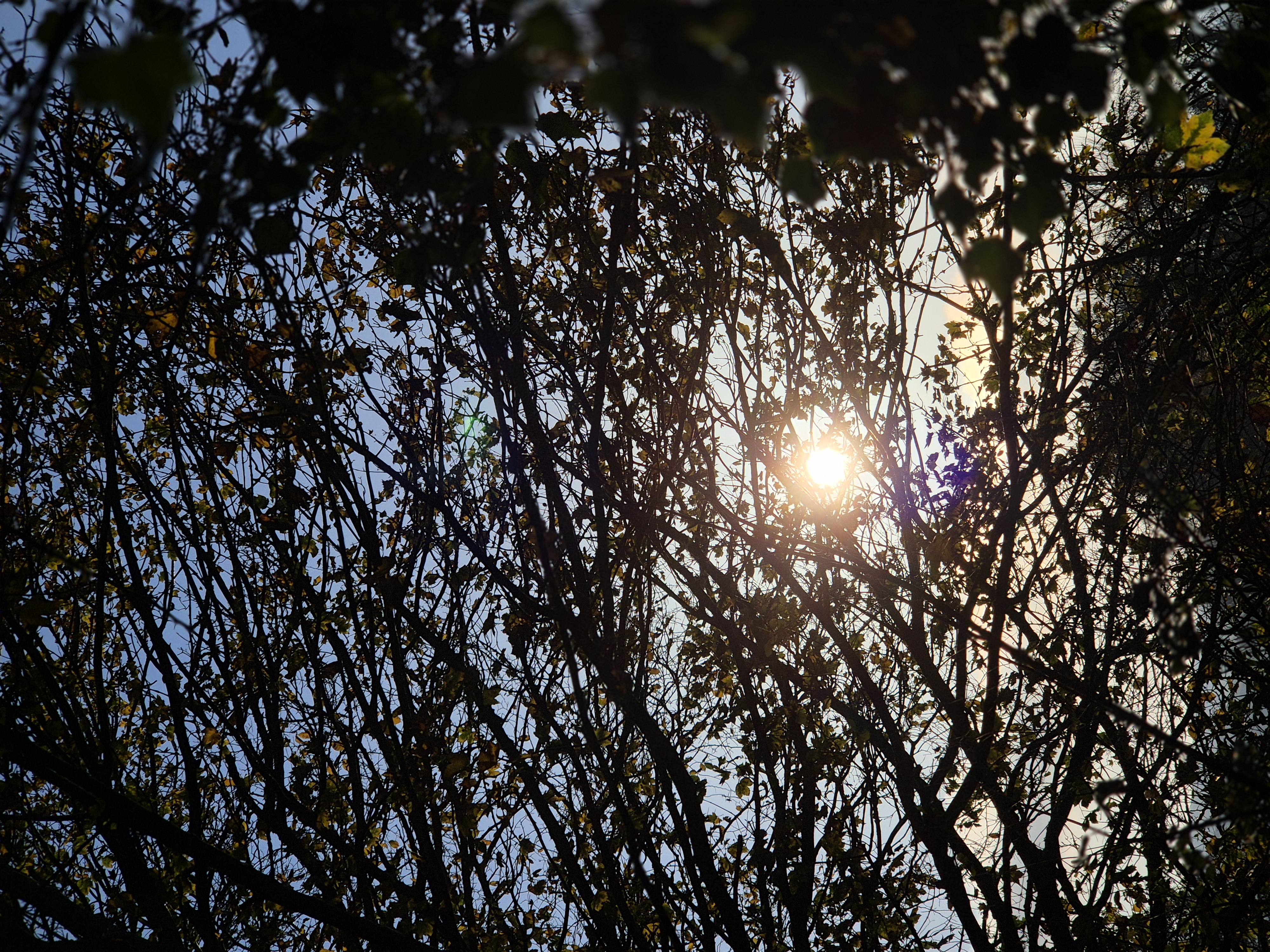 Sun and nature Sun and nature
