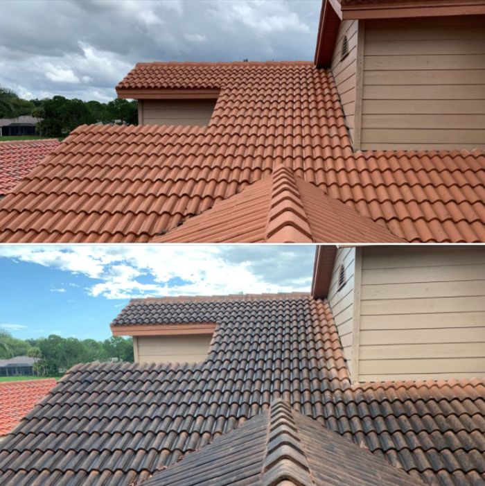 Wet Work completed project