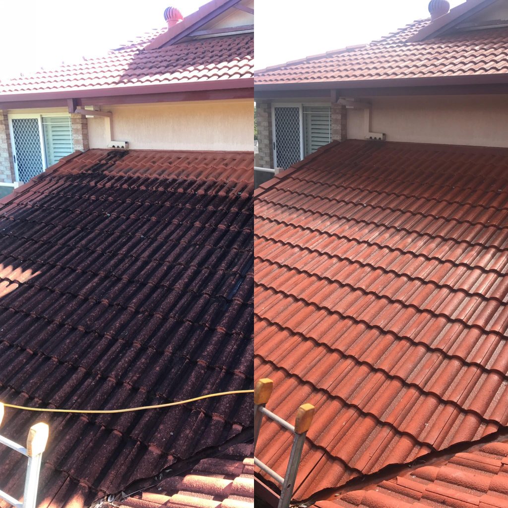 Wet Work completed project