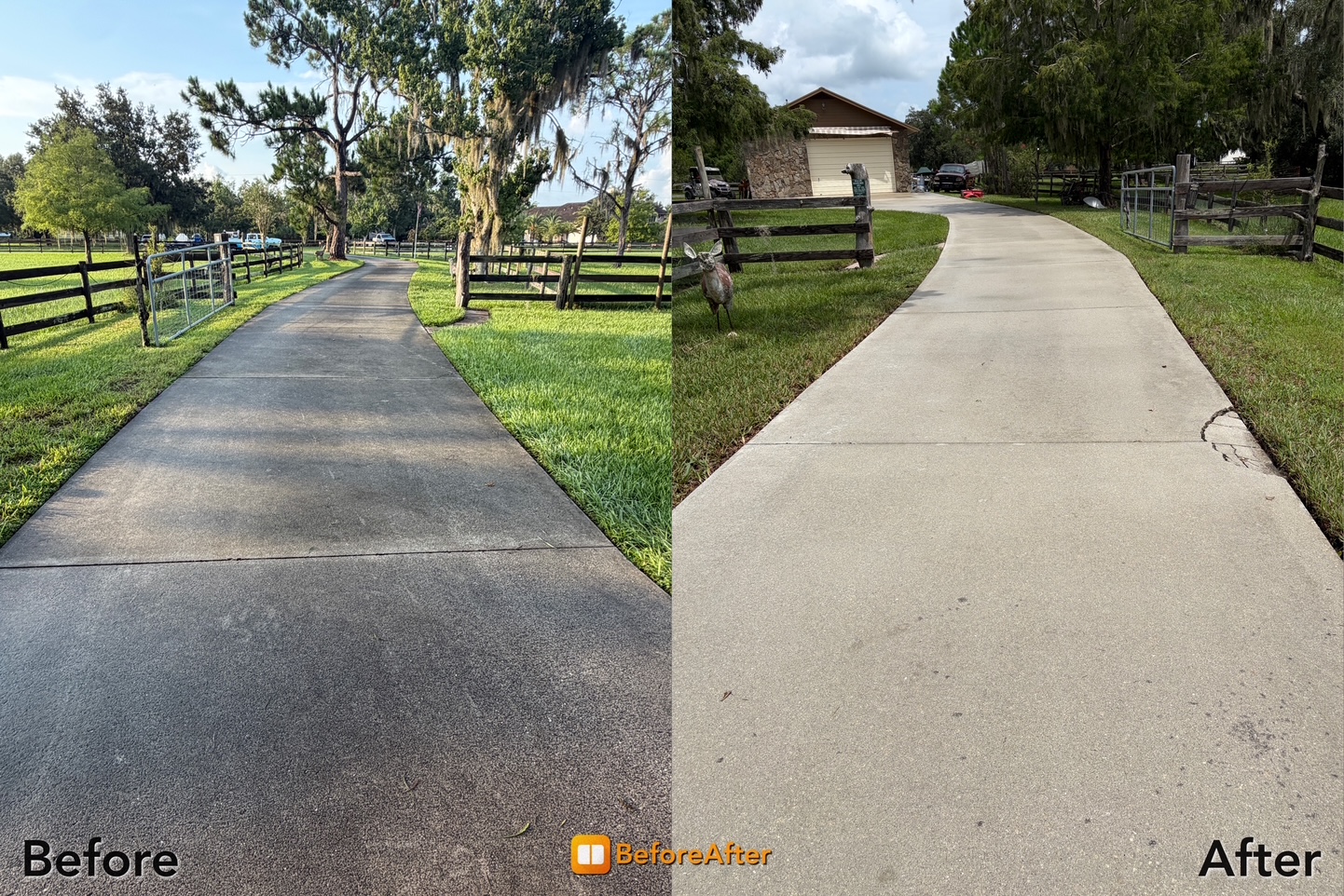 Wet Work completed project