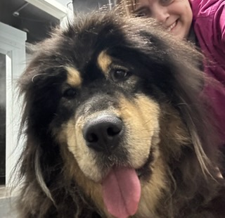 West Lafayette Dog Bath