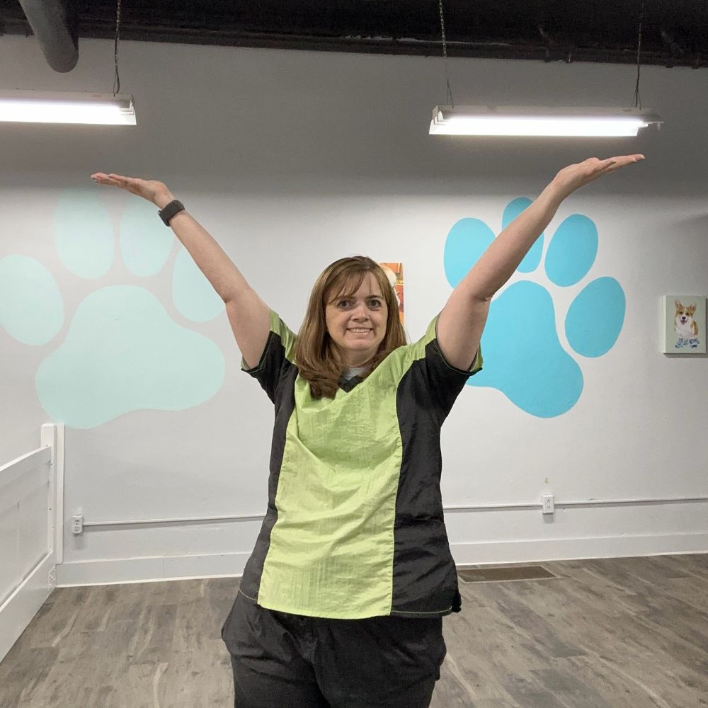 Full Dog Groom in Brookston