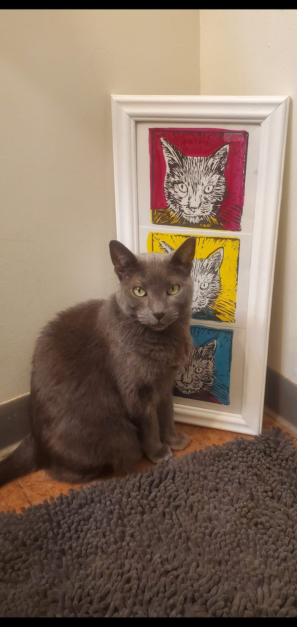 attractive cat