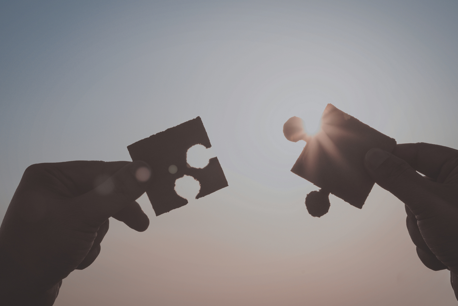 realign-purpose-in-your-business-stock1