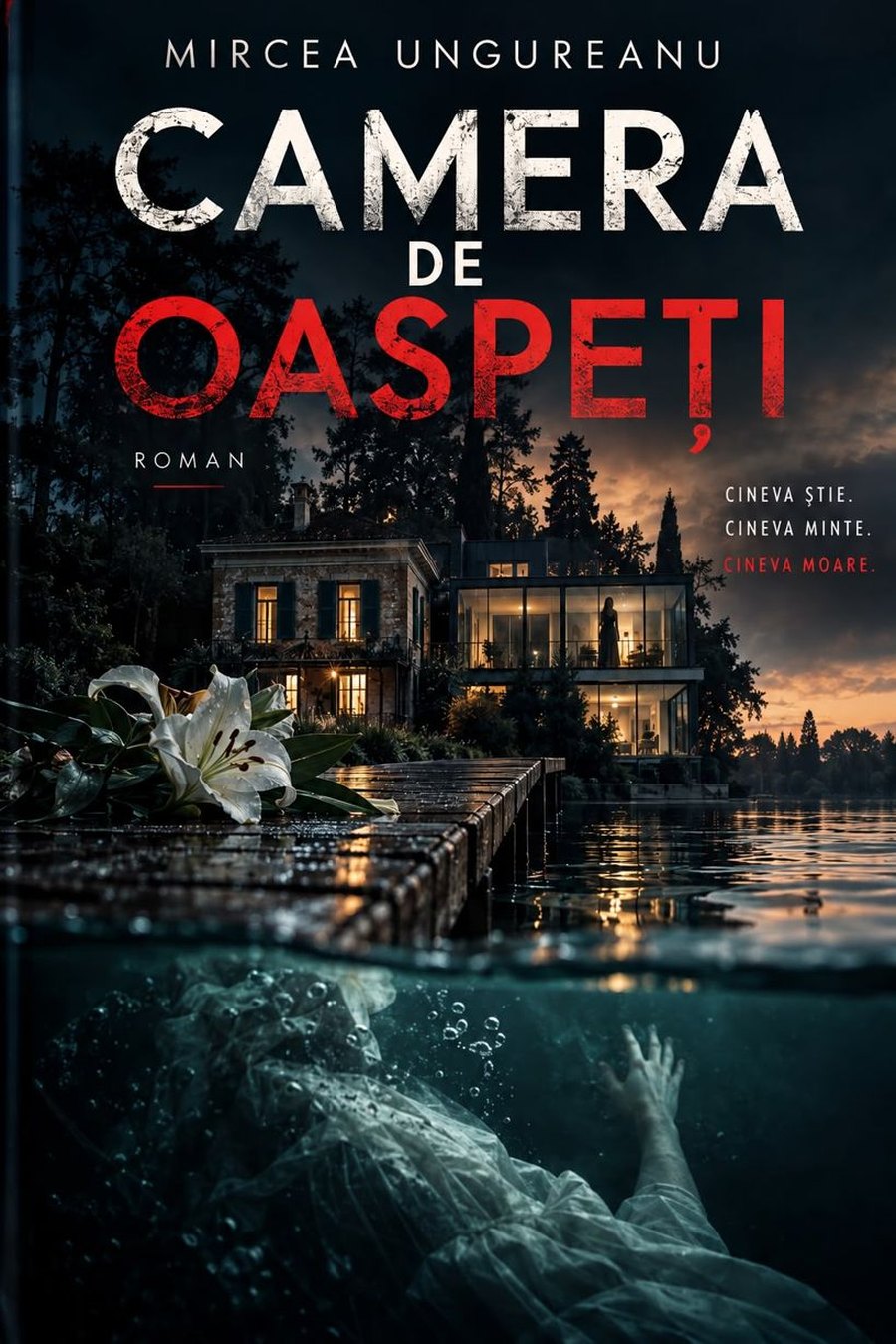 Coperta romanului Camera de oaspeți