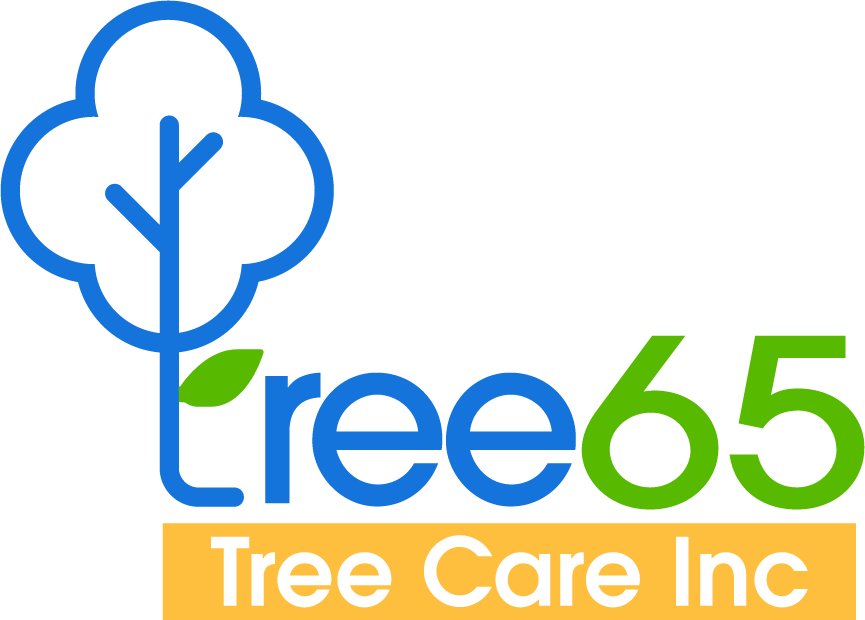 Tree65 logo