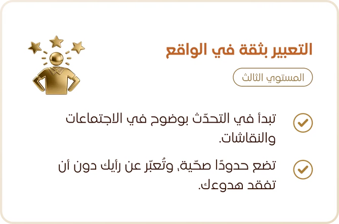 المستوى الثالث