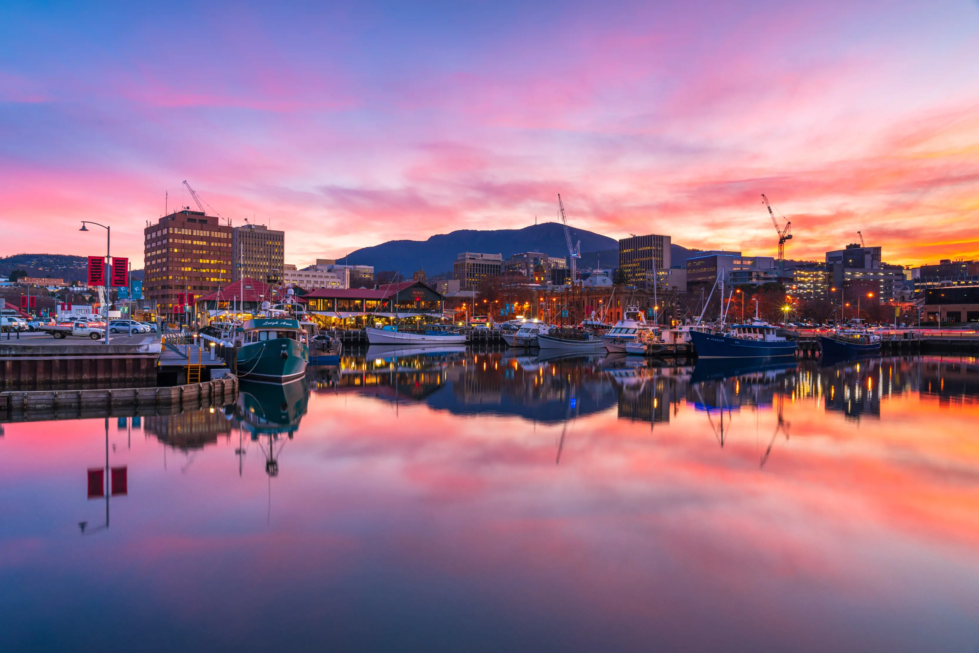 Digital Marketing Agency Tasmania: Elevating Your Brand with Bolder Digital