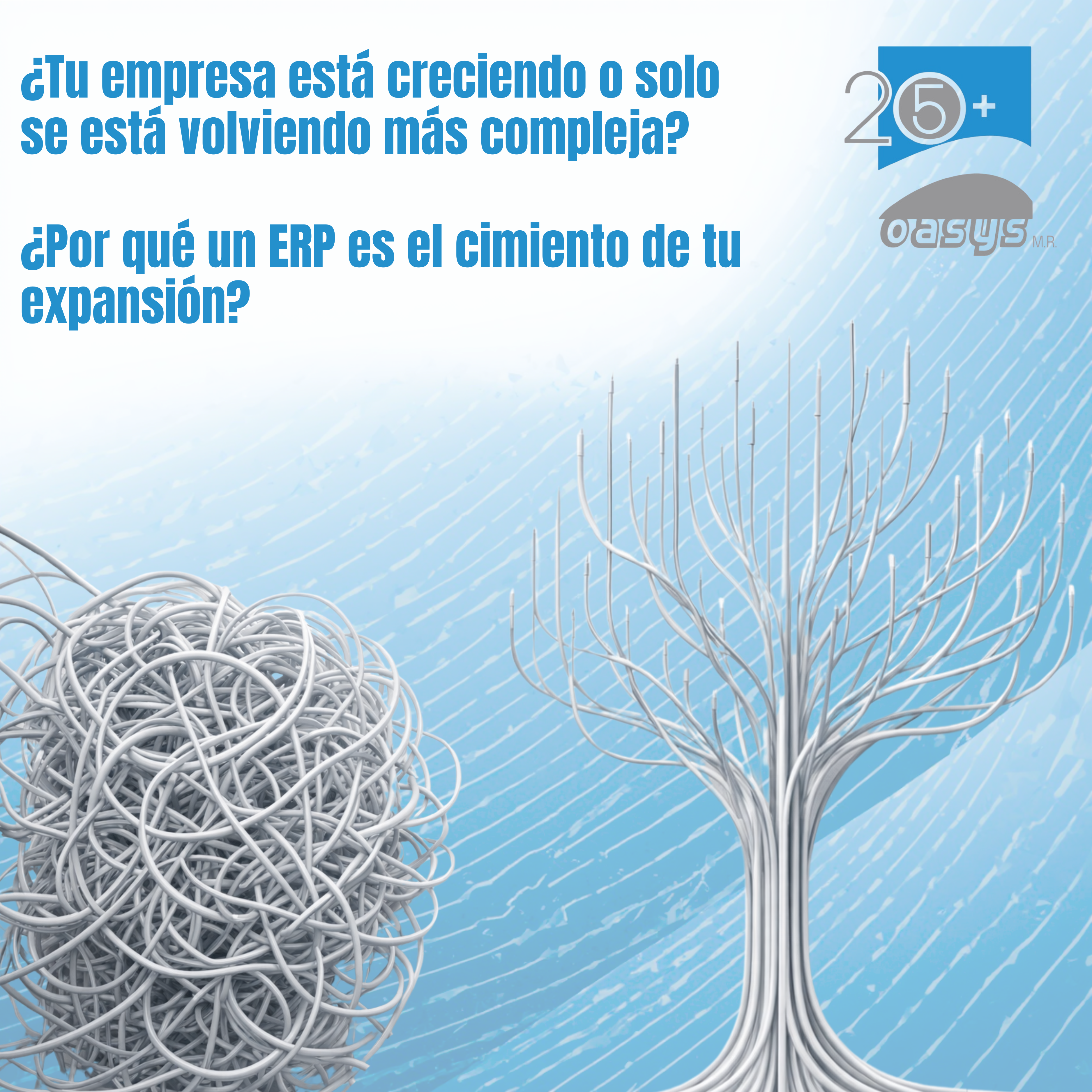 Por que un ERP es importante Por que un ERP es importante