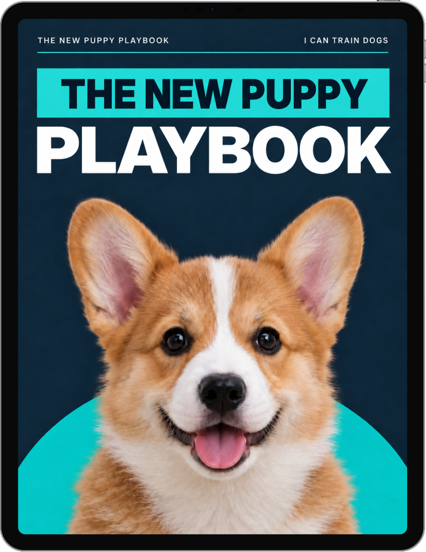 The New Puppy Playbook