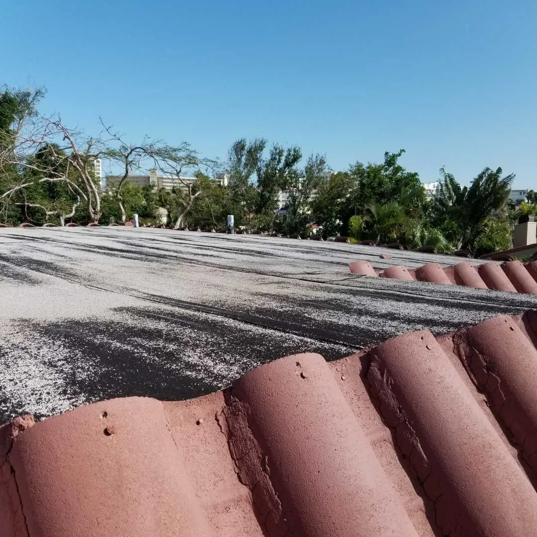 Failing flat roof before replacement