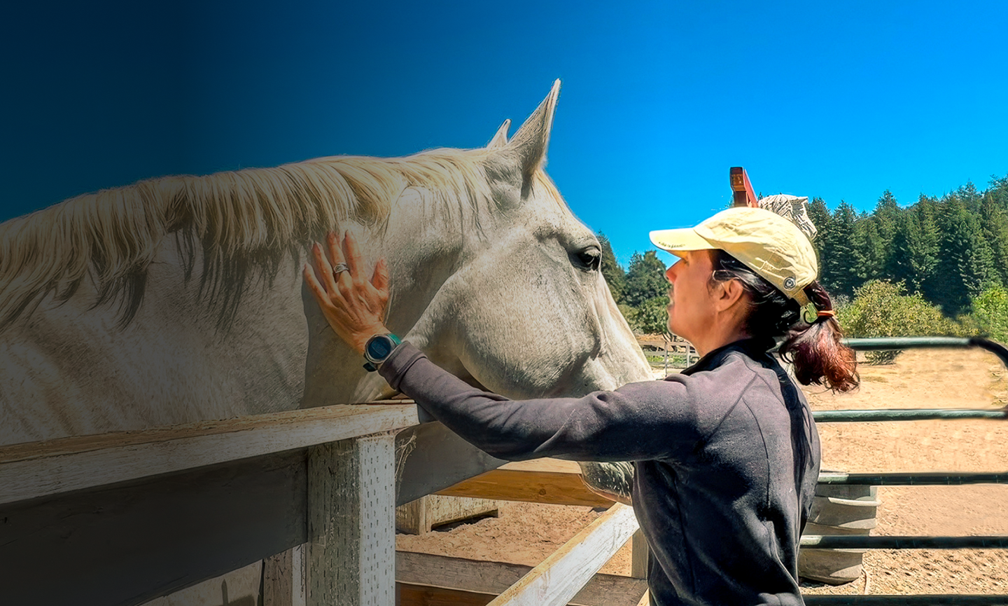 Monica gently connecting face-to-face with horse, hand on its neck, symbolizing intuitive assessment and trust