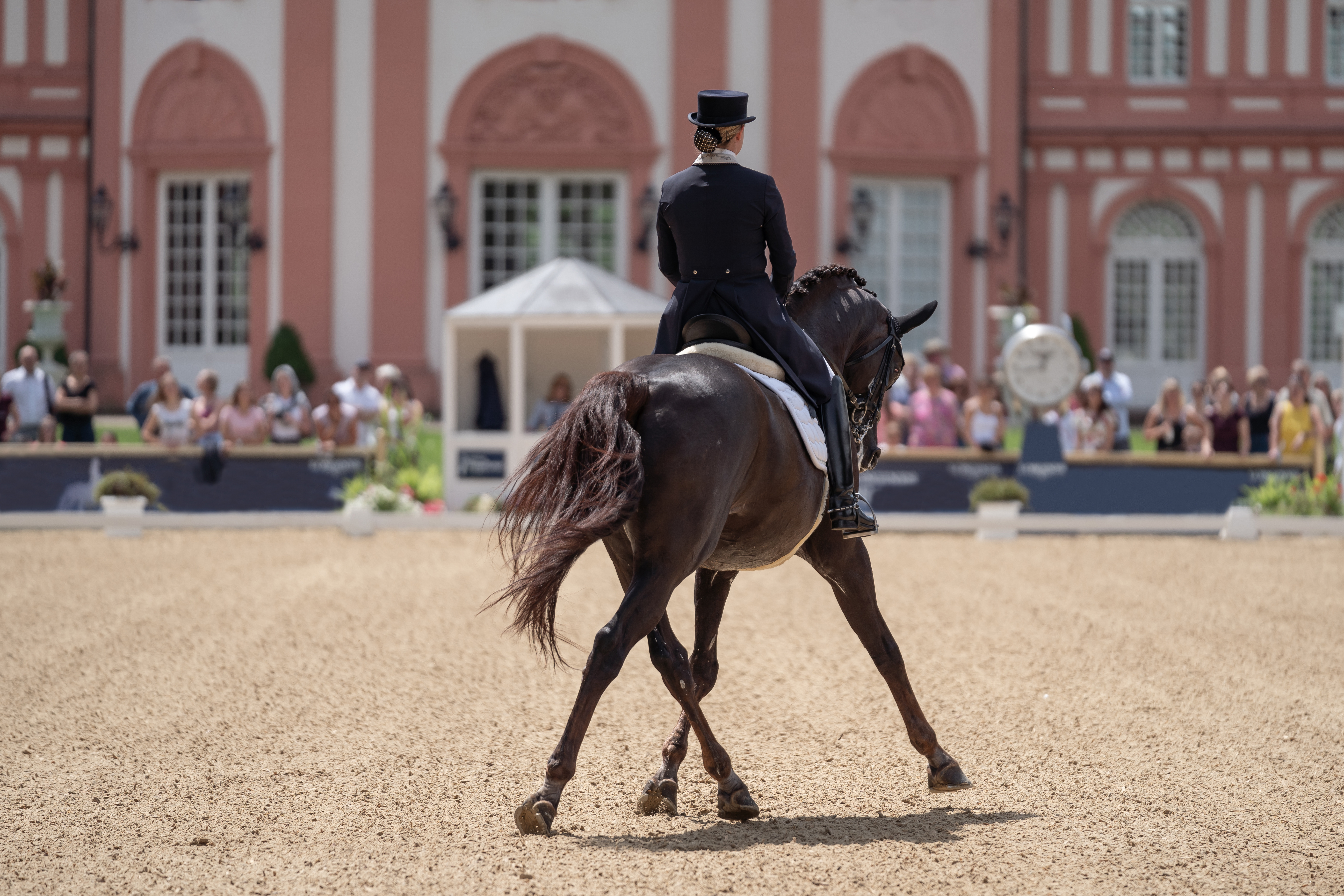 Woman performing dressage on horseback, viewed from behind, representing precision and emotional attunement